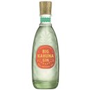 Big Kahuna Pineapple Gin 40% 0,7 l (holá láhev)