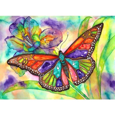 Nova Barevný motýl 1000 dílků – Zboží Mobilmania