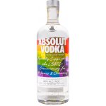Absolut Rainbow 40% 1 l (holá láhev) – Zboží Mobilmania
