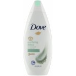 Dove Purifying Detox Green Clay sprchový gel 250 ml – Hledejceny.cz