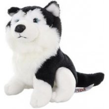 Husky 15 cm