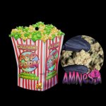 Califarms Amnesia 12,88 % CBD 0,07% THC 10 g – Zboží Dáma