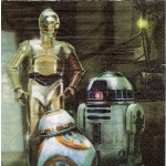 Ubrousek 33x33 STAR WARS – Zboží Dáma