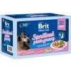Brit Premium Cat Delicate Fillets in Gravy Family Plate Sterilised 12 x 85 g