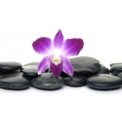 WEBLUX 22713595 Fototapeta vliesová Purple orchid and black stones Fialová orchidej a černé kameny rozměry 270 x 200 cm – Zboží Mobilmania