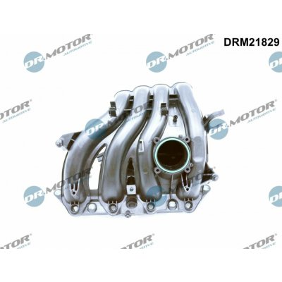 Dr.Motor Automotive DRM21829 – Hledejceny.cz