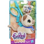 Hasbro Fur Real Friends Walkalots malá kočka – Hledejceny.cz