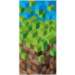 DETEXPOL Osuška Kostičky Bavlna 70 x 140 cm – Hledejceny.cz