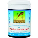TCM Herbs Svlažení vyprahlé stepi 100 tablet – Hledejceny.cz