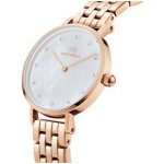 Daniel Wellington DW00100613 – Hledejceny.cz