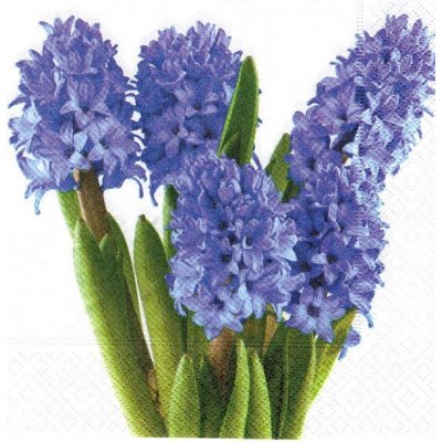 Ubrousek 33x33 cm HYACINT – Zboží Dáma