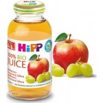 HiPP BIO Jablečno-hroznová 200 ml – Zboží Dáma