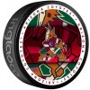 Hokejový puk Inglasco / Sherwood Puk Arizona Coyotes Medallion Souvenir Collector Puck