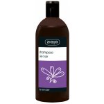 Ziaja Lavender šampon s výtažkem z levandule pro mastné vlasy 500 ml – Zboží Mobilmania