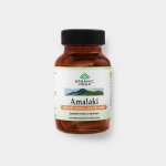 Organic India Amalaki antioxidant s přírodním vitaminem C 60 kapslí – Hledejceny.cz