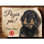 Sport hobby Cedulka Jezevčík černý drsnosrstý Pozor pes zákaz CP916 20 x 15 cm – Zbozi.Blesk.cz