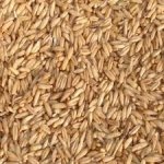 Avicentra oves nahý 25 kg – Zboží Mobilmania