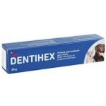 Dentisept 2 mg/g pasta pro psy a kočky 20 g – Zbozi.Blesk.cz
