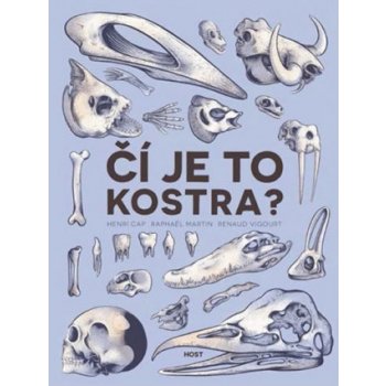 Čí je to kostra? - Cap Henri, Martin Raphaël