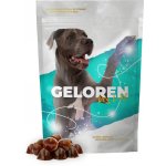 Contipro Geloren Dog L-XL 420 g – Zbozi.Blesk.cz