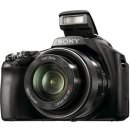 Sony Cyber-Shot DSC-HX100