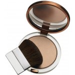 Clinique True Bronze Pressed Powder Bronzer Bronzující pudr 2 Sunkissed 9,6 g – Zboží Dáma