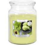 Nohel Garden MÁTA AVOKÁDO 500 g – Sleviste.cz
