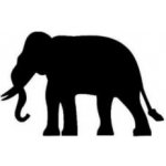 Slon plastová šablona 150 D 29x29cm – Hledejceny.cz