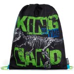 Karton P+P Premium Dinosaurus – Hledejceny.cz