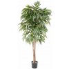 Květina Umělý strom Ficus longifolia - přírodní kmeny, 180cm