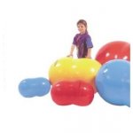 Gymnic Physio roll – Zboží Dáma