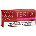 TEREA SIENNA karton – Zboží Mobilmania