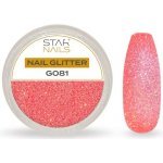 Starnails Nail Art zdobení glitter G081 – Hledejceny.cz