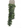 Květina zahrada-XL Emerald Umělá crassula 80 cm