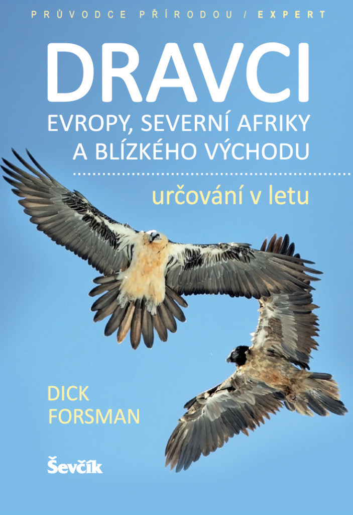 Dravci Evropy, severní Afriky a Blízkého východu - určování v letu - Forsman Dick