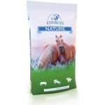 ENERGYS Sladový květ sypký 20 kg – Zboží Dáma