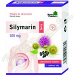 Silymarin Forte 250 mg mikronizovaný ostropestřec s vit D3 40 tablet – Hledejceny.cz