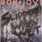 Bon Jovi - Slippery When Wet CD – Hledejceny.cz