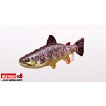 Gaby polštář Pstruh potoční malý 35 – Zboží Dáma