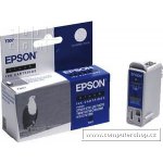 Epson C13T007 - originální – Sleviste.cz