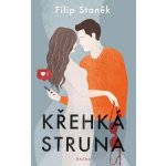Křehká struna - Filip Staněk – Hledejceny.cz