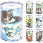 CZ pokladnička plech.DĚTSKÁ d10x15cm – Zboží Dáma