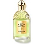 Guerlain Aqua Allegoria Nerolia Vetiver Forte parfémovaná voda dámská 125 ml – Hledejceny.cz