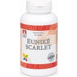 Queen Eunike Scarlet 90 tablet – Hledejceny.cz