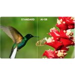 Homatics Box 4K Pro V2 AI-SR – Hledejceny.cz