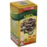 Terezia Company Hlíva Ústřičná 60 kapslí – Hledejceny.cz
