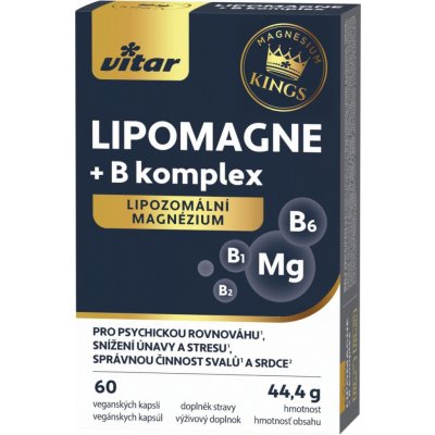 Vitar LIPOMAGNE+B komplex 60 kapslí – Hledejceny.cz