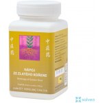TCM herbs patentní medicína Nápoj ze zlatého kořene 100 g – Hledejceny.cz