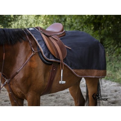 TYREX Bederní deka Equi Theme FLEECE Modrá Světle růžová – Zboží Mobilmania