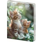 Helma 2025 Památník čistý Tabby – Zboží Dáma